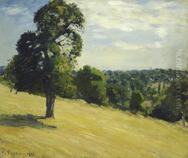 The Big Pear Tree at Montfoucault - view 1