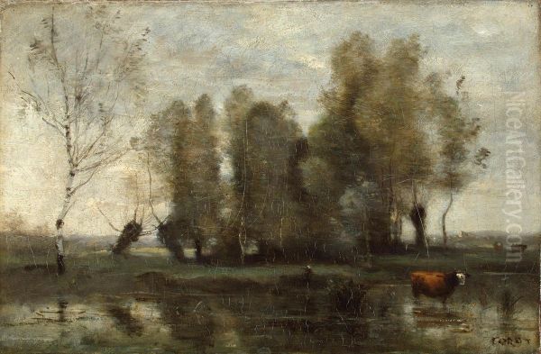 Trees in a Swamp - view 1