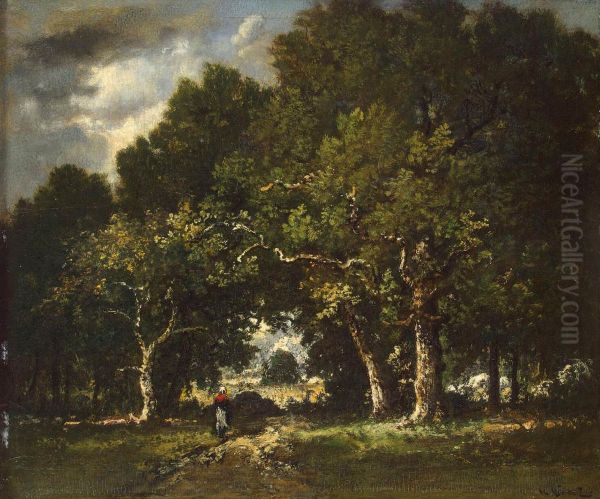 Road in the Wood - view 1