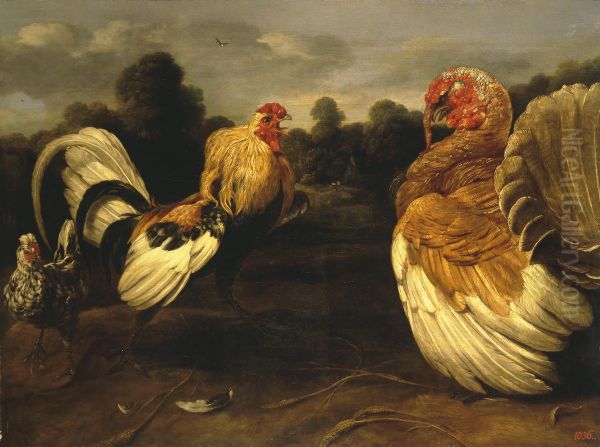 Fight of a Rooster and a Turkey Cock - view 1