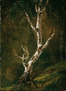 Study of a Birch Tree Study of a Birch Tree