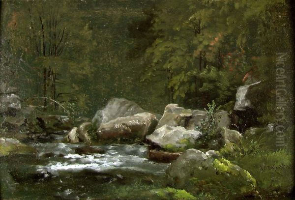 Stream in the Liebethaler Grund - view 1