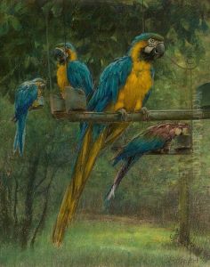 Blue and Yellow Macaws by Berthe Art