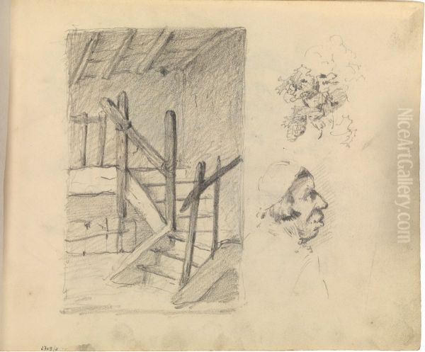 Trap, man, gebladerte (detail) - view 1