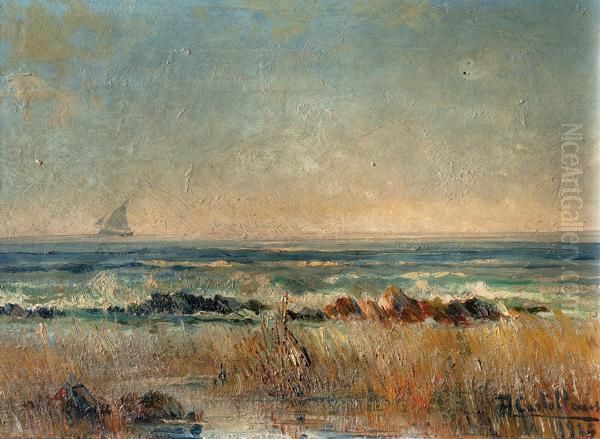 Costa - view 1