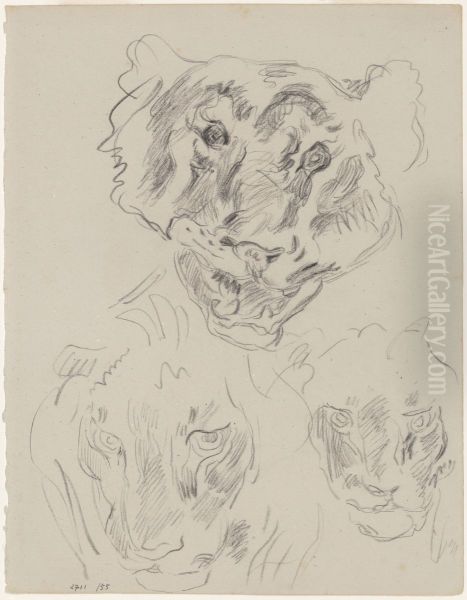 Drie koppen van wilde dieren - view 1