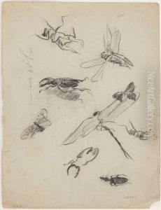 insects by James Ensor