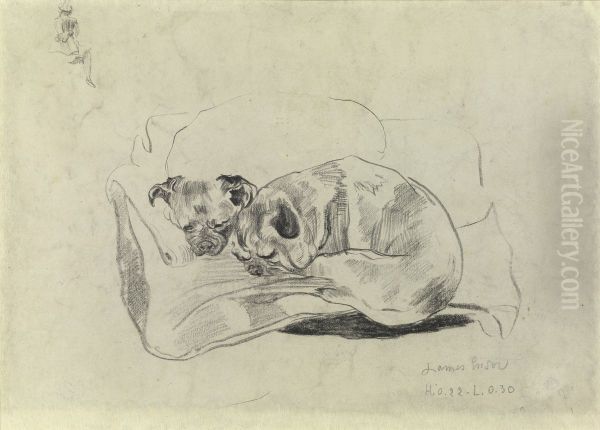 Two Dogs - view 1