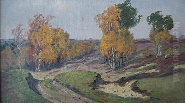 Birken im Herbst - view 1
