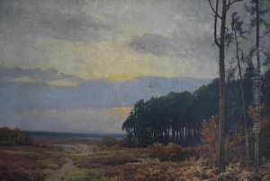 Heidelandschaft mit Kiefernwald