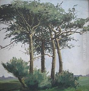 Kiefern by Louise Droste-Roggemann