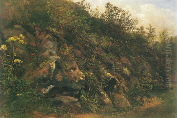 Rocks in the Plauenscher Grund - view 1