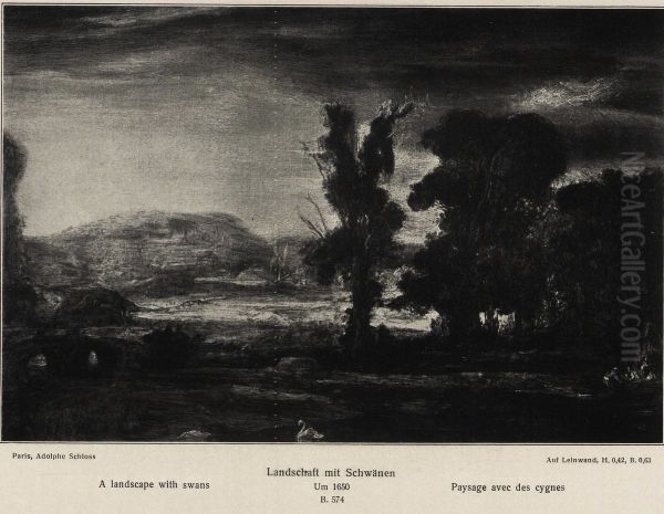 Landscape with swans - view 1
