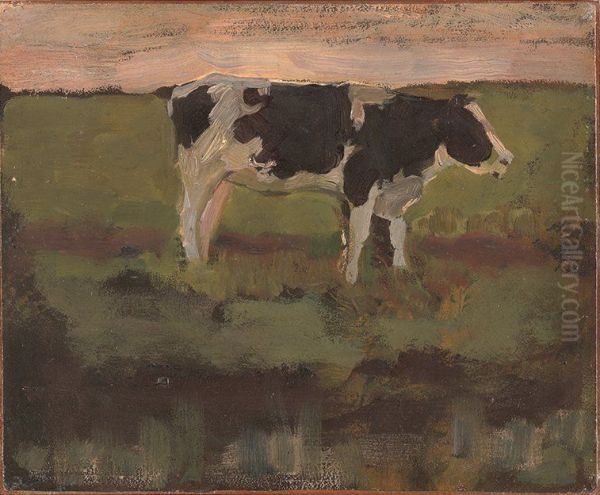 Zwartbonte vaars in de weide - view 1