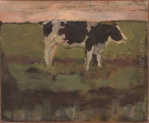 Black and White Heifer