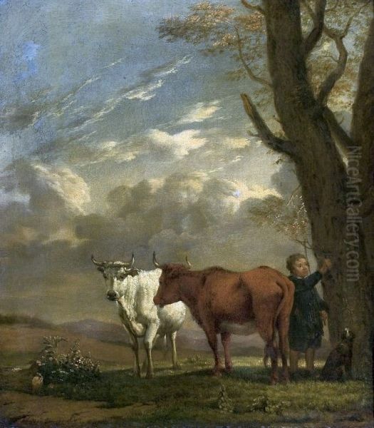 A shepherd with cows. - view 1