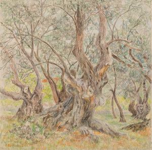 Oude olijfbomen by Anna de Weert
