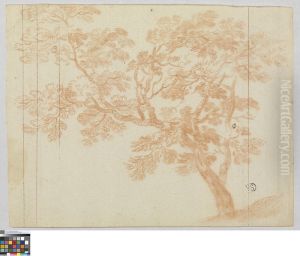 Studie van een boom by Jan Anton Garemyn