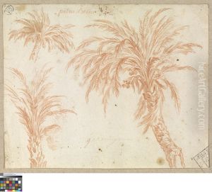 Studies van een palmboom by Jan Anton Garemyn