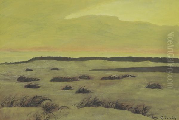 Duinen - view 1