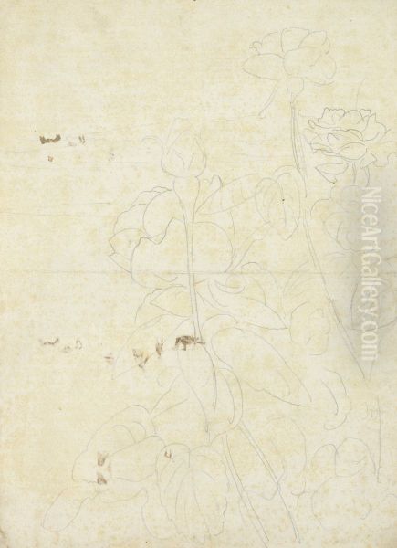 Schetsen van rozen (verso) - view 1