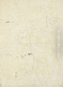 Schetsen van rozen (verso) Schetsen van rozen (verso)