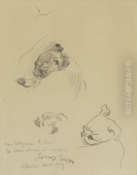 De honden - view 1