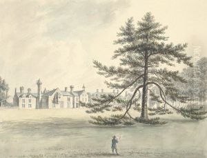 Cefn Amwlch by John Ingleby