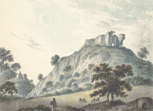 South aspect of Caergwrle Castle - view 1