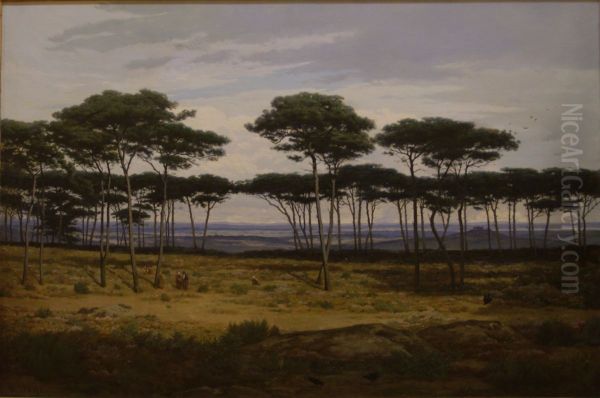 Les pins de Pledeliac - view 1