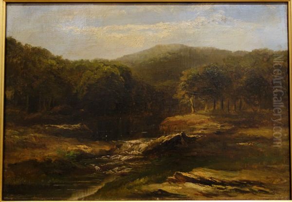 Landscape - view 1