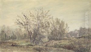 Landscape Landscape