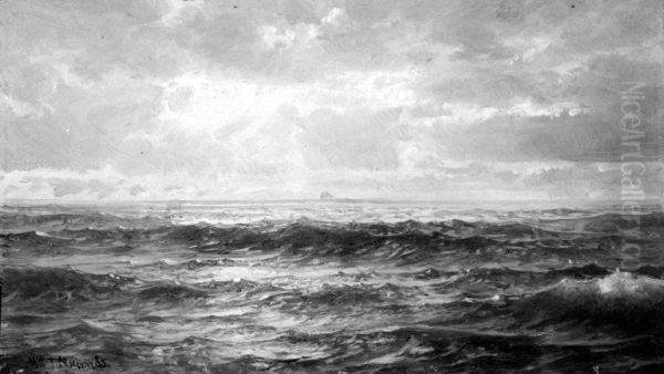 Marine Study - view 1