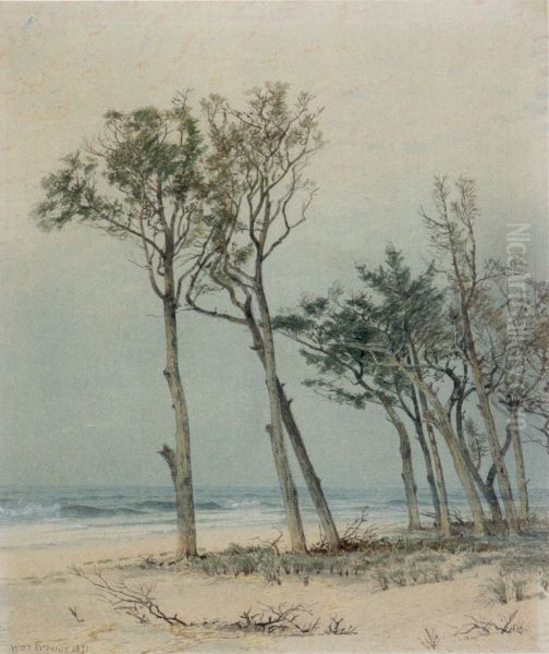 Trees on the Jersey Shore - view 1