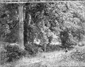 Tulip Trees by William Trost Richards