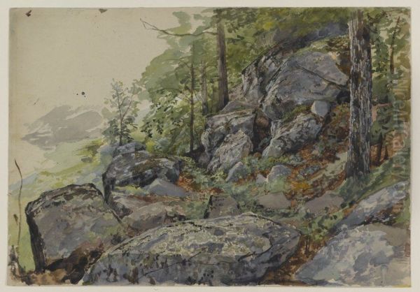 Woodland Boulders - view 1