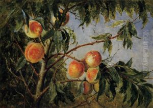 Peaches Peaches