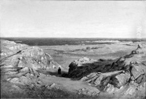 Rocky Shore