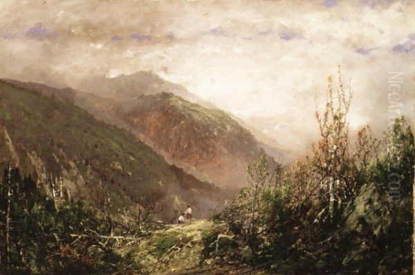 Scene in the White Mountains - view 1