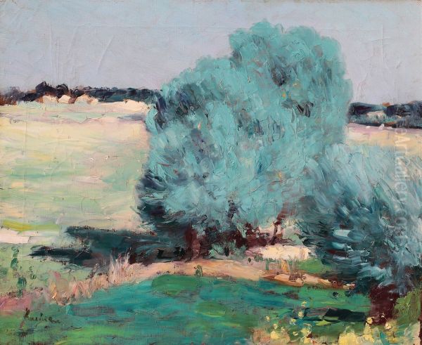 Willows at Chiajna - view 1