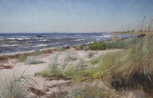 Clear summer day at Greve Strand