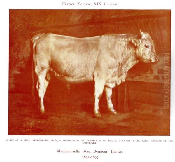 Study of a Bull - view 1