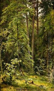 A Forest. by Ivan Shishkin