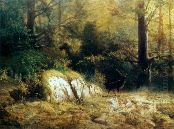 Forest landscape with a deer - view 1