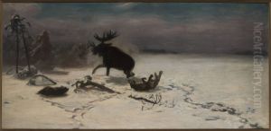 Elk fighting the wolves