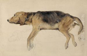 Study of a Dog Lying Down by Sir Edwin Henry Landseer