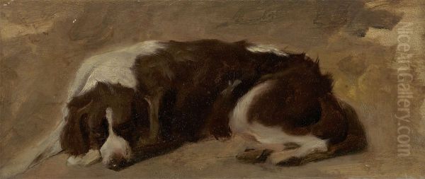 A Spaniel Lying Down - view 1