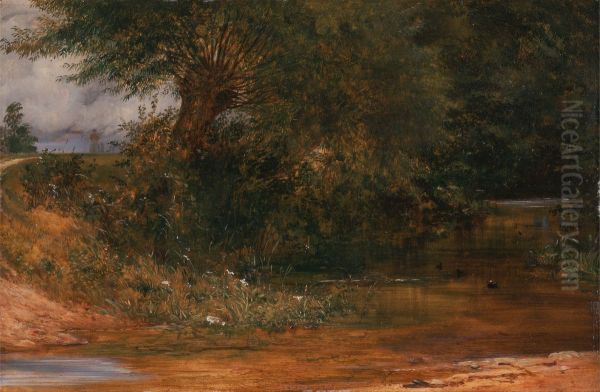 The Moorhen's Haunt - view 1