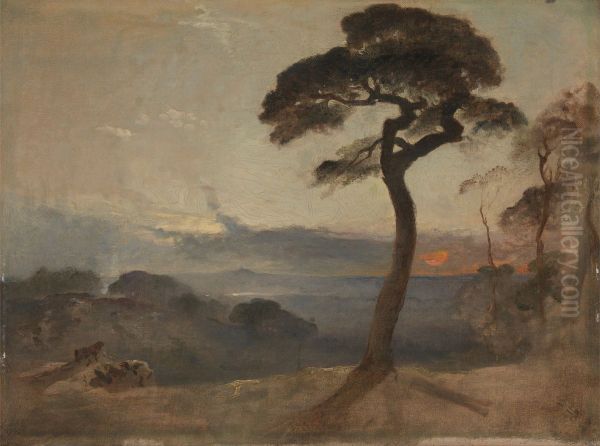 Hampstead Heath, Sunset - view 1
