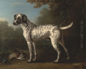 A Grey Spotted Hound